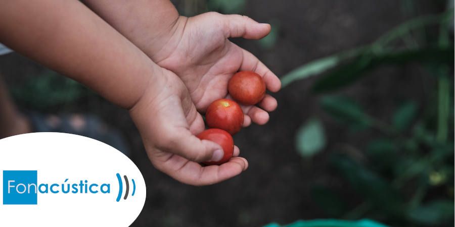 En Fonacústica contamos cómo funciona tu audífono